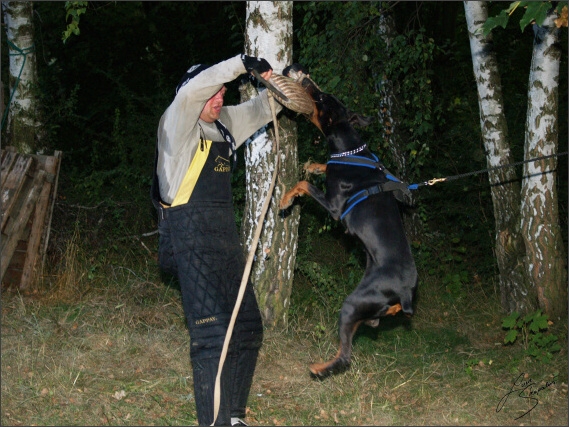 Summer training camp - Jelenec - 2007